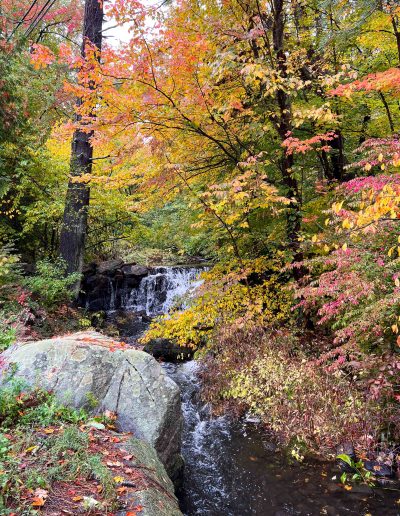 Autumn Falls by Joyce Andersen