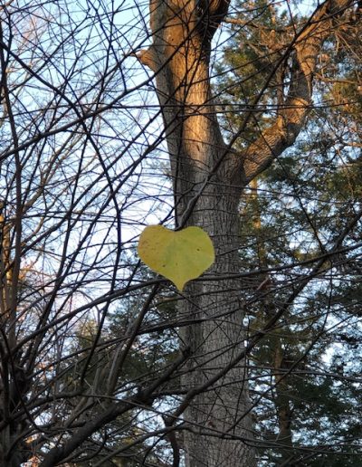 Hanging On by Rose Lanard