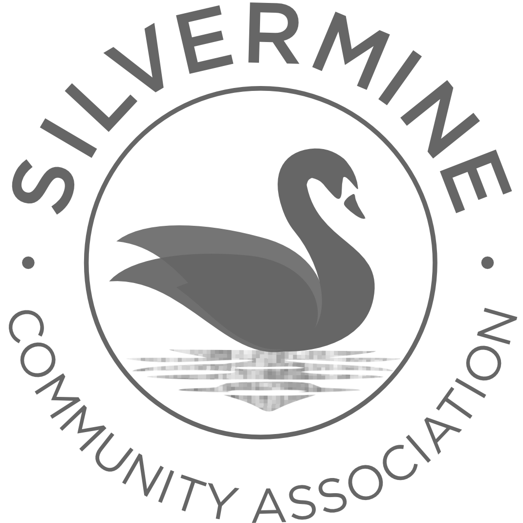 SILVERMINE - Logo 1
