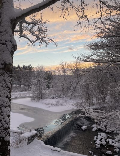 Winter Breeze at Davis Pond by Ricardo Viera