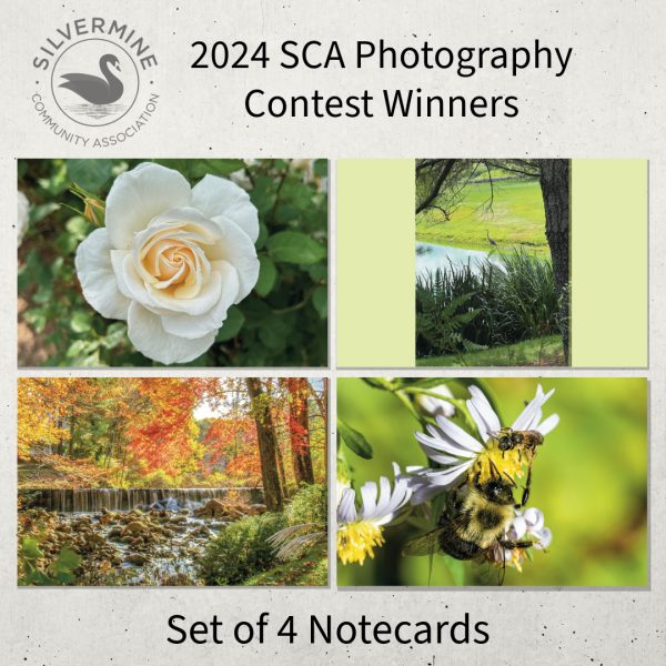 Silvermine Notecards - Set of Four